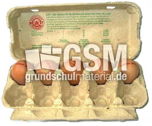 Eier-5.jpg